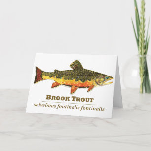 Cartão De Festividades Brook Trout, Latin