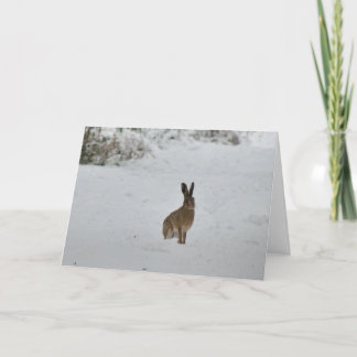 Cartão De Festividades Brown hare in snow Christmas card