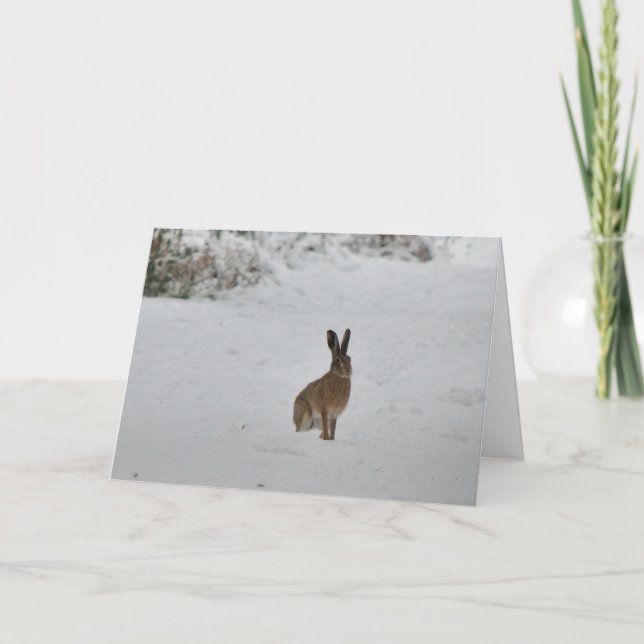 Cartão De Festividades Brown hare in snow Christmas card (Frente)