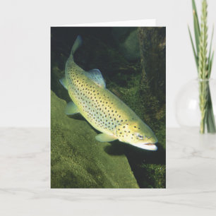 CARTÃO DE FESTIVIDADES BROWN TROUT CARD