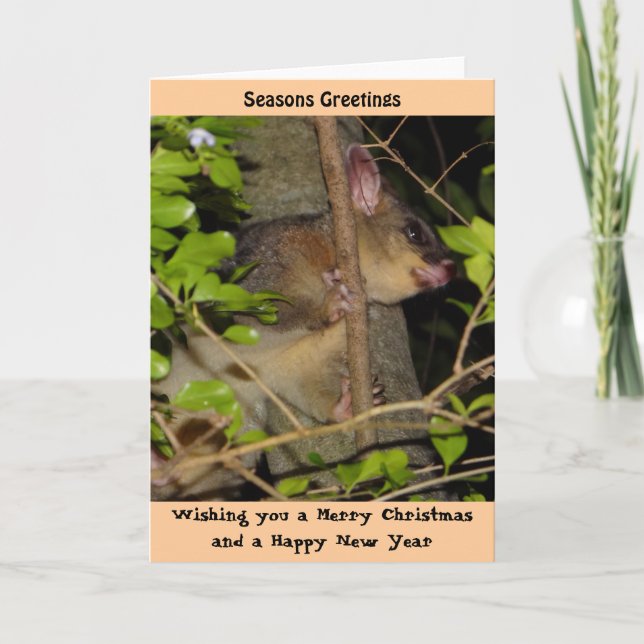 Cartão De Festividades Brushtail Possum Xmas Card (Frente)