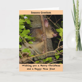Cartão De Festividades Brushtail Possum Xmas Card