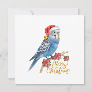 Cartão De Festividades Budgie Christmas Card