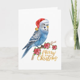 Cartão De Festividades Budgie Christmas Card
