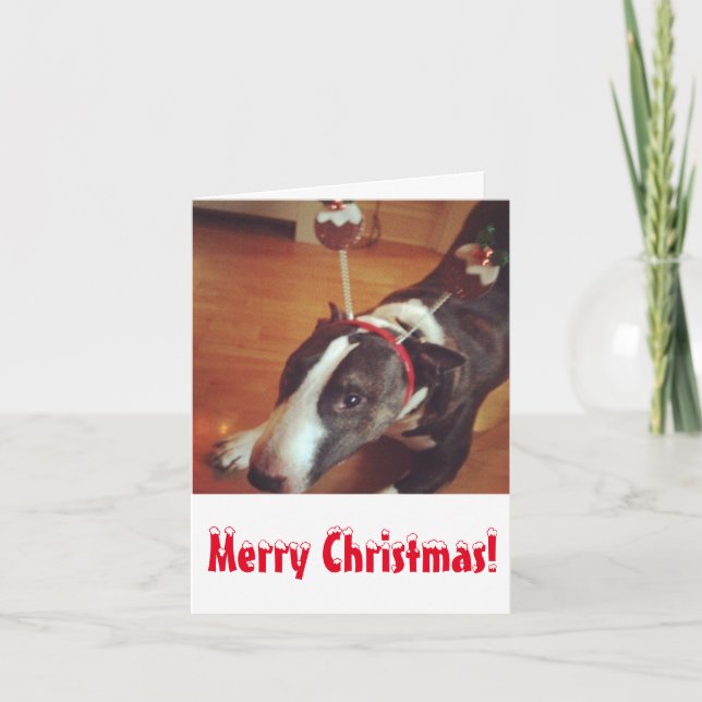 Cartão De Festividades Bull Terrier Christmas Card (Frente)
