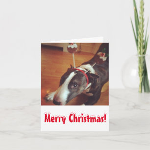 Cartão De Festividades Bull Terrier Christmas Card
