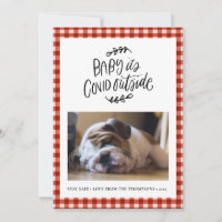BULLDOG | Bebê, COVID Fora do Natal Fofo