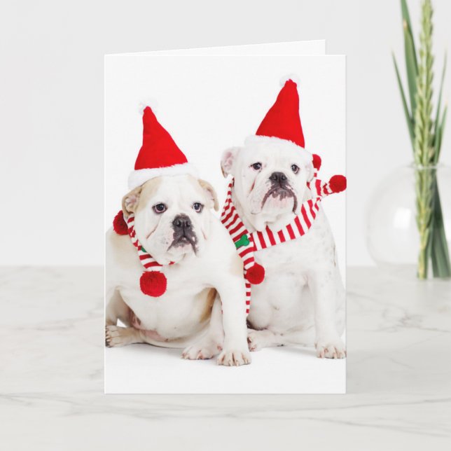 Cartão De Festividades Bulldog Elves (Frente)