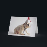 Cartão De Festividades Bulldog Puppy Wearing Santa Hat<br><div class="desc">ImageID: CRBR003089 / Jim Craigmyle / CORBIS / Bulldog Puppy Wearing Santa Hat /</div>
