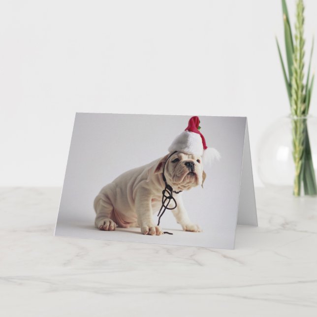 Cartão De Festividades Bulldog Puppy Wearing Santa Hat (Frente)
