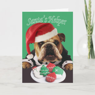 Cartão De Festividades Bulldog Santa's Helper Christmas Cards
