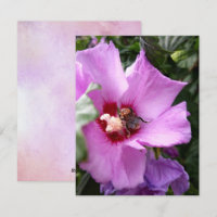 Bumblebee na Flor de Hibiscus