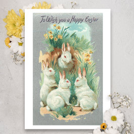 Cartão De Festividades Bunnies da Páscoa Brancos Fluffy
