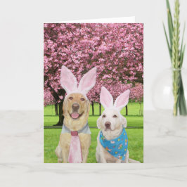 Cartão De Festividades Bunny Labs