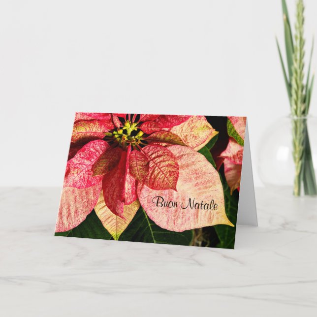 Cartão De Festividades Buon Natale - Red and Gold Poinsettia Card (Frente)