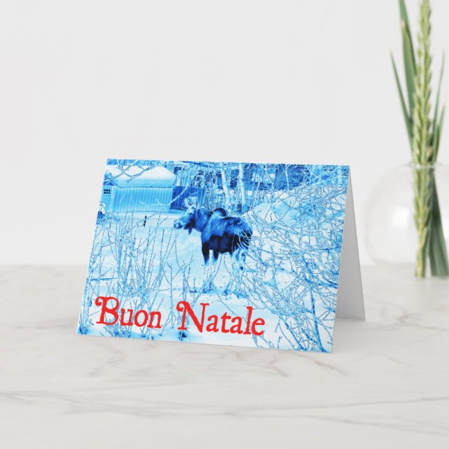 Cartão De Festividades Buon Natale - Urban Moose (Frente)