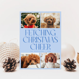 Cartão De Festividades Buscando Alegria de Natal Cachorro Foto Azul Gélid