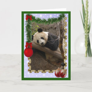 Cartão De Festividades c-panda-21-c