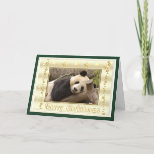 Cartão De Festividades c-panda-296