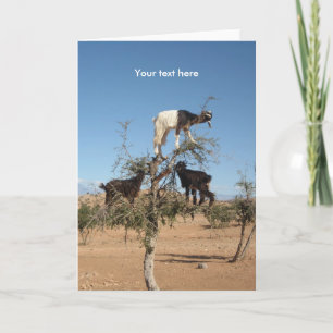 Cartão De Festividades Cabras engraçadas numa árvore