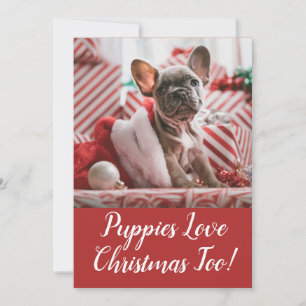 Cartão De Festividades Cachorrinhos Amam o Natal Bulldog Francês