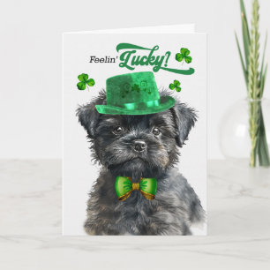 Cartão De Festividades Cachorro Affenpinscher se Sentindo Sortudo no Dia