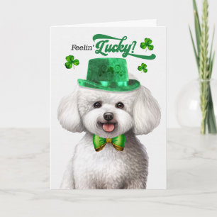 Cartão De Festividades Cachorro Bichon Frise Se Sentindo Sortudo no Dia d