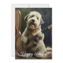 Cachorro Bonito com Violão.