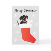 Cachorro Bonito Em Flocos De Neve De Paragem