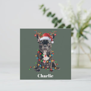 Cartão De Festividades Cachorro Bulldog Francês de Natal Nome Personaliza