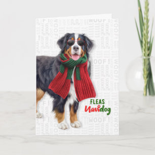 Cartão De Festividades Cachorro da Montanha Bernesa Piadas Navidog Natal