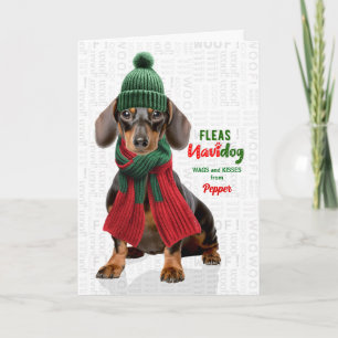 Cartão De Festividades Cachorro Dachshund Cachorro Piadas Pulgas Navidog