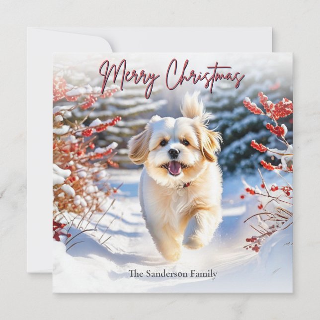 Cartão De Festividades Cachorro De Lhasa Apso Em Neve Feliz Natal (Frente)