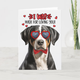 Cartão De Festividades Cachorro de Montanha Suíço Feito por Te Amar Namor