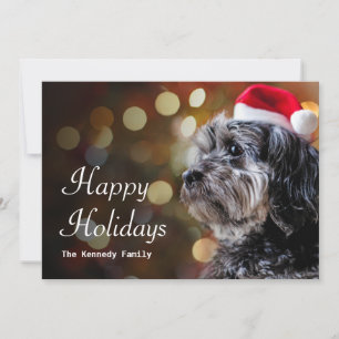 Cartão De Festividades Cachorro De Natal À Espera De Papais noeis