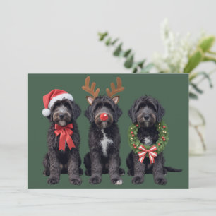 Cartão De Festividades Cachorro de Natal Goldendoodle Preto Mãe Doodle In
