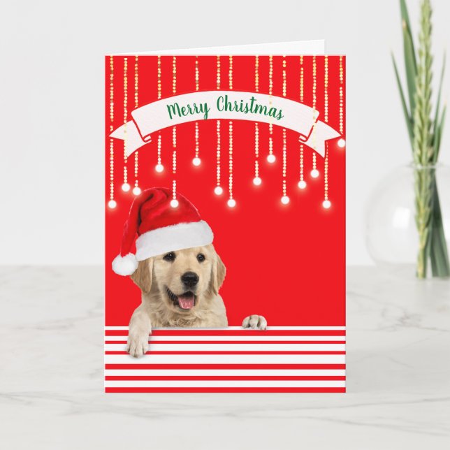 Cartão De Festividades Cachorro de Natal para Retriever ouro (Frente)