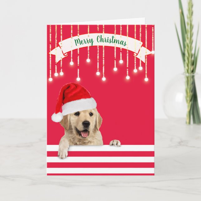 Cartão De Festividades Cachorro de Natal para Retriever ouro (Frente)