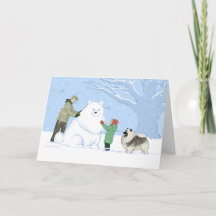 Cachorro de Neve Keeshond - Cachorro Fresco de inv