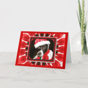 Cartão De Festividades Cachorro de Papais noeis Sassy