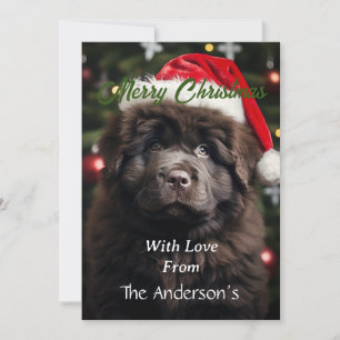Cartão De Festividades Cachorro do Papai Noel Personalizado
