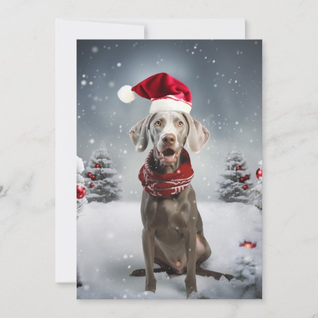 Cartão De Festividades Cachorro do Weimaraner de Natal (Frente)