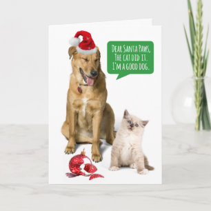 Cartão De Festividades Cachorro Engraçado E Gato Com O Natal Do Ornamento