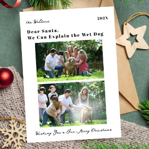 Cartão De Festividades Cachorro Engraçado Foto de Família Natal