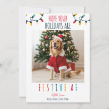 Cachorro Engraçado Pet Foto Natal Festivo AF