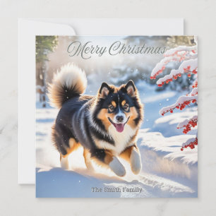 Cartão De Festividades Cachorro Finlandês Lapphund Na Neve Imagem Elegant