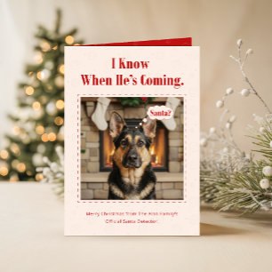 Cartão De Festividades Cachorro Fofo Foto de Família de Animal de Estimaç