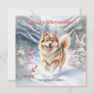 Cartão De Festividades Cachorro fofo Swedish Lapphund Neve Feliz Natal