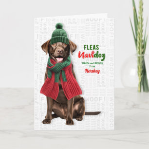 Cartão De Festividades Cachorro Labrador Chocolate Engraçado Pulgas Navid