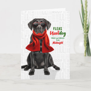Cartão De Festividades Cachorro Labrador Preto Engraçado Pulgas Navidog c
